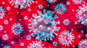 Negacionista del coronavirus