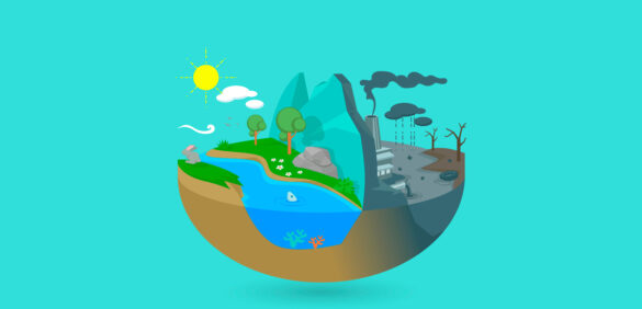 8.Causas y efectos del cambio climatico global