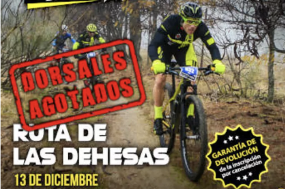 Alcalde