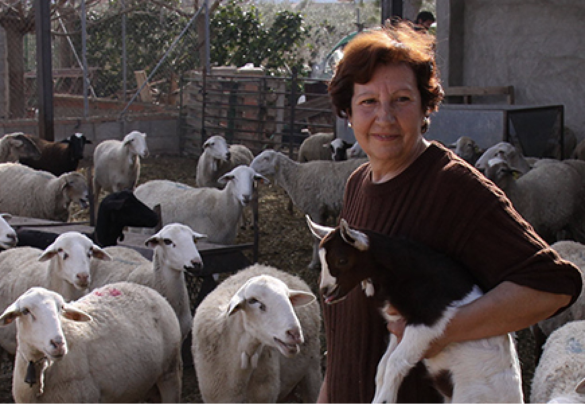 Agricultores y ganaderos