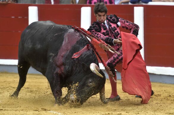 Sentencian las corridas de toros en Colombia