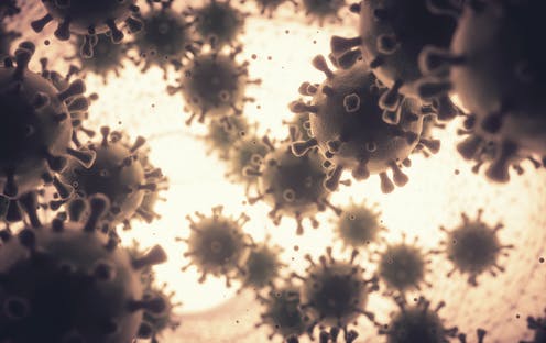 Coronavirus