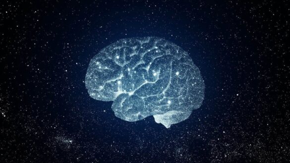 cerebro y universo evolucionan de la misma forma