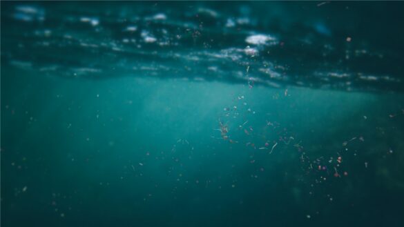 los antibioticos tambien viajan por el agua adheridos a microplasticos
