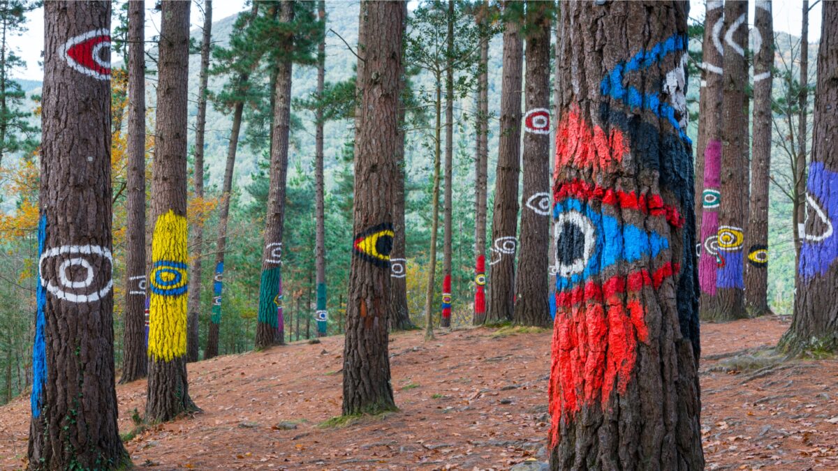 Maneras de mirar un bosque