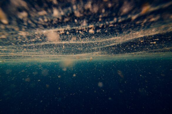 marine viruses the tiny microbe killers that orchestrate life in the ocean