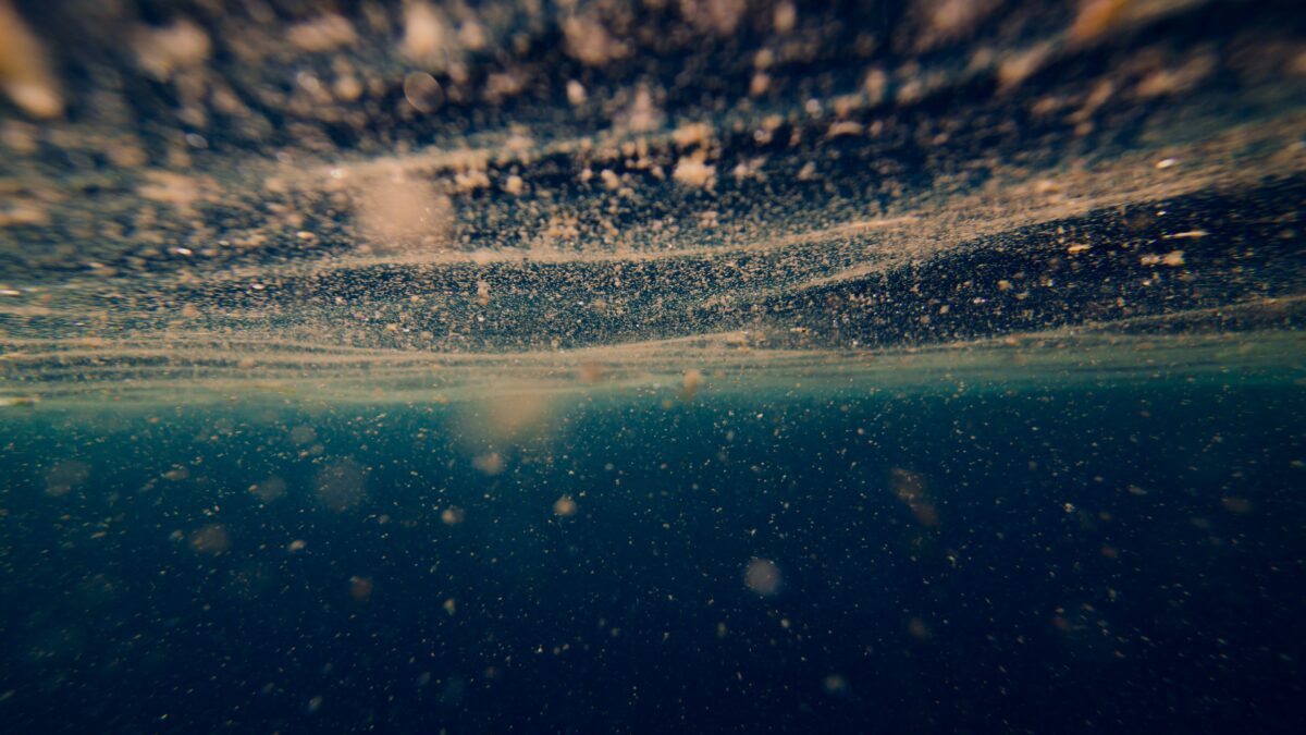 Marine viruses: the tiny microbes that orchestrate life in the ocean