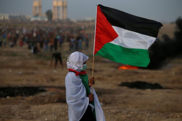 palestina independencia reuters compressor