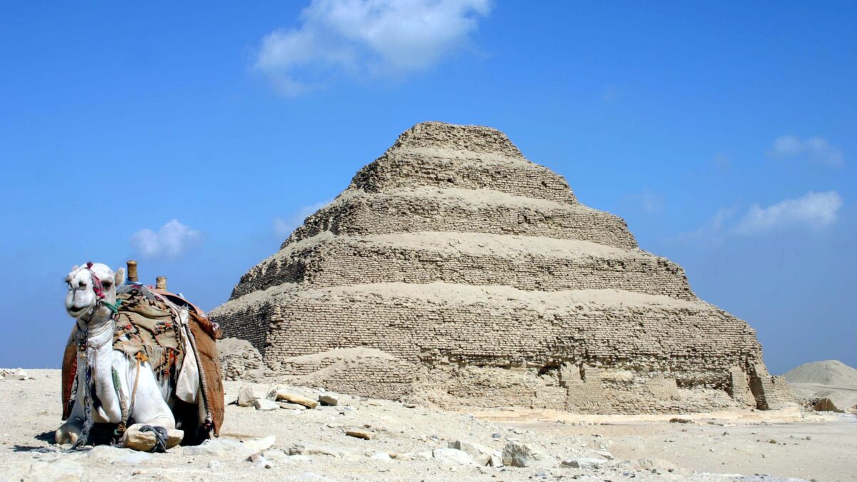 La genética ayuda a averiguar de dónde salieron los cuatro millones de ibis momificados de Saqqara