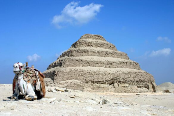 la genetica ayuda a averiguar de donde salieron los cuatro millones de ibis momificados de saqqara