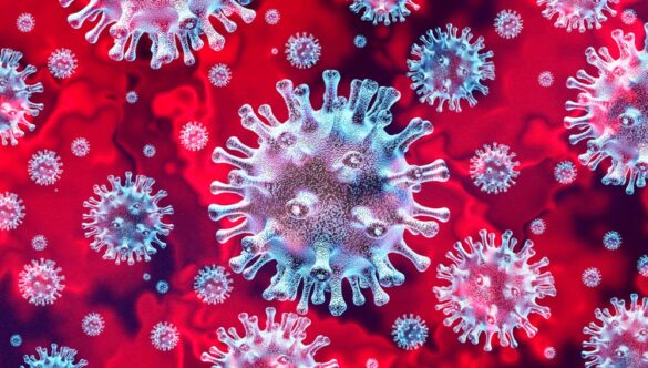 todo los coronavirus del mundo cabrian en una lata de refresco y sobraria espacio