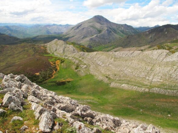 como gestionar la transicion energetica para que no acabe con la biodiversidad
