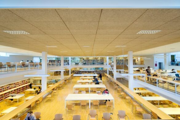 cual es el papel de la la universidad en la construccion de sociedades inclusivas