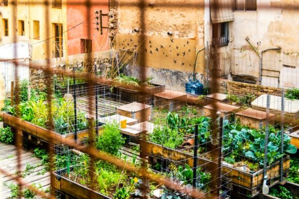 huertos urbanos para mejorar la calidad de vida en las ciudades