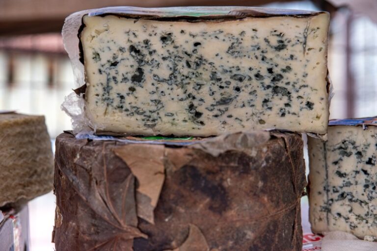 Le dilemme des aliments moisis : peut-on consommer des fromages « bleus » sans risques ?