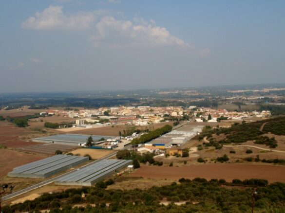 lo que una granja en cataluna nos enseno sobre el origen de la vida