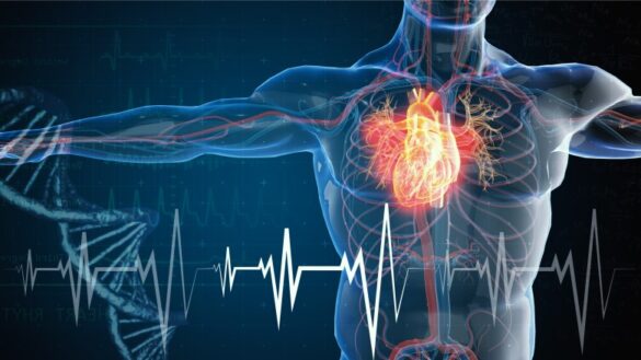 nanomedicina contra el infarto agudo de miocardio