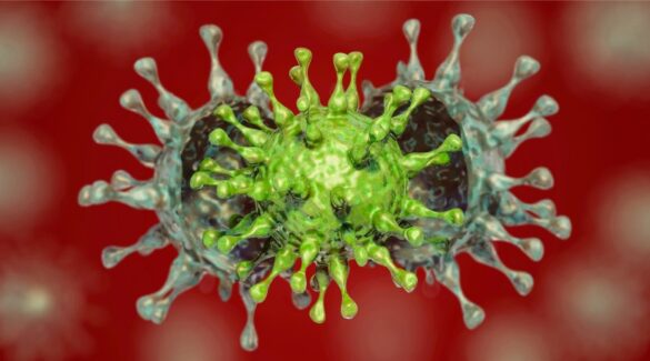 por que es muy dificil reinfectarse por sars cov 2