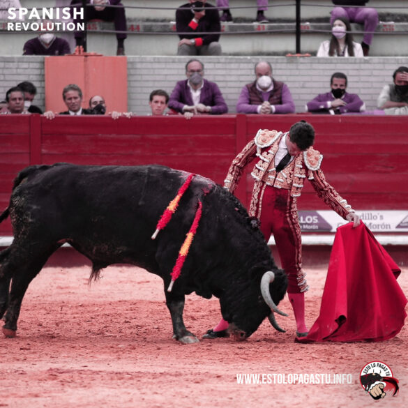 toros 1
