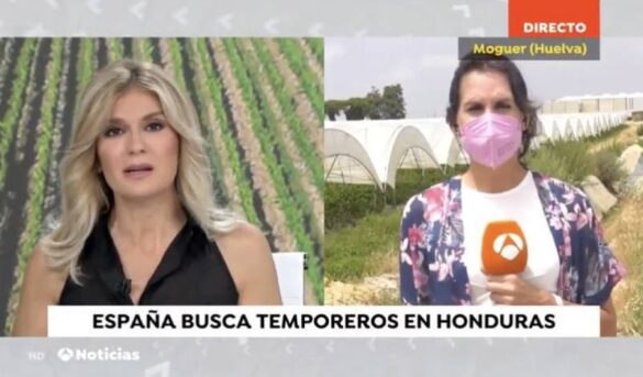 Vox temporeros parados
