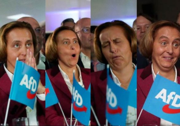 Alternativa por alemania