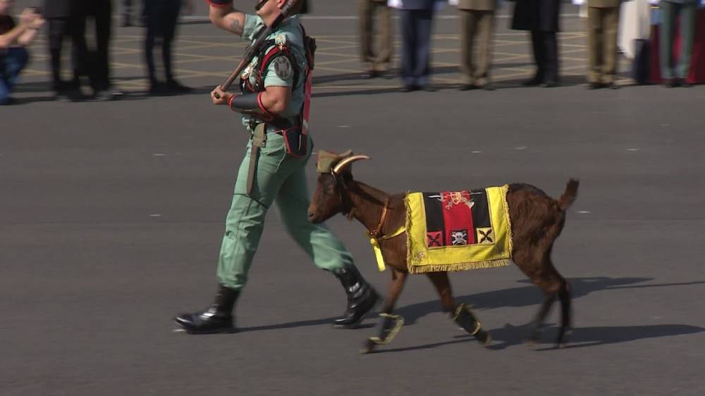 Cabra de la legión