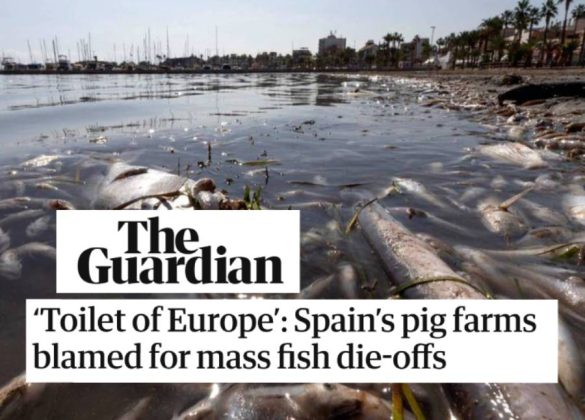 Mar Menor The Guardian