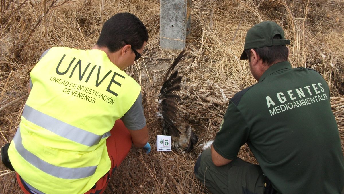 Los Estados miembros de la UE pretenden rebajar las penas por los delitos contra la naturaleza 