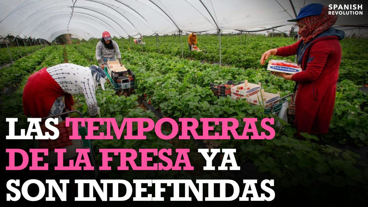 Las temporeras de la fresa ya son trabajadoras indefinidas gracias a la reforma laboral￼