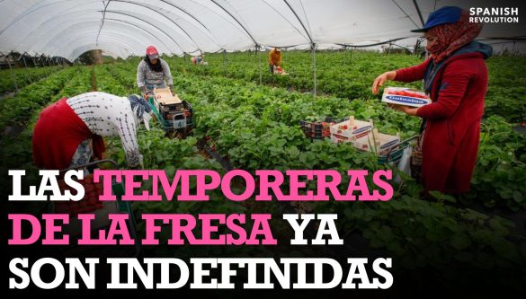 Fresa