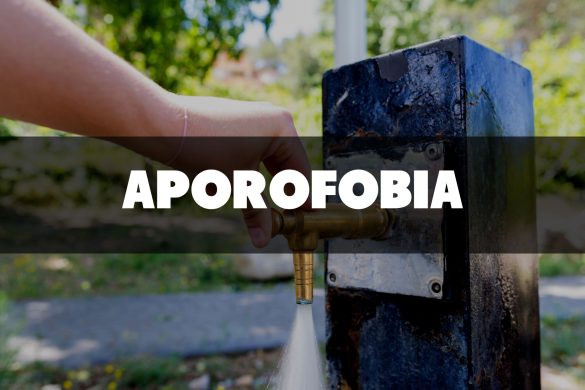 Aporofobia