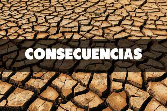 Consecuencias de la sequia