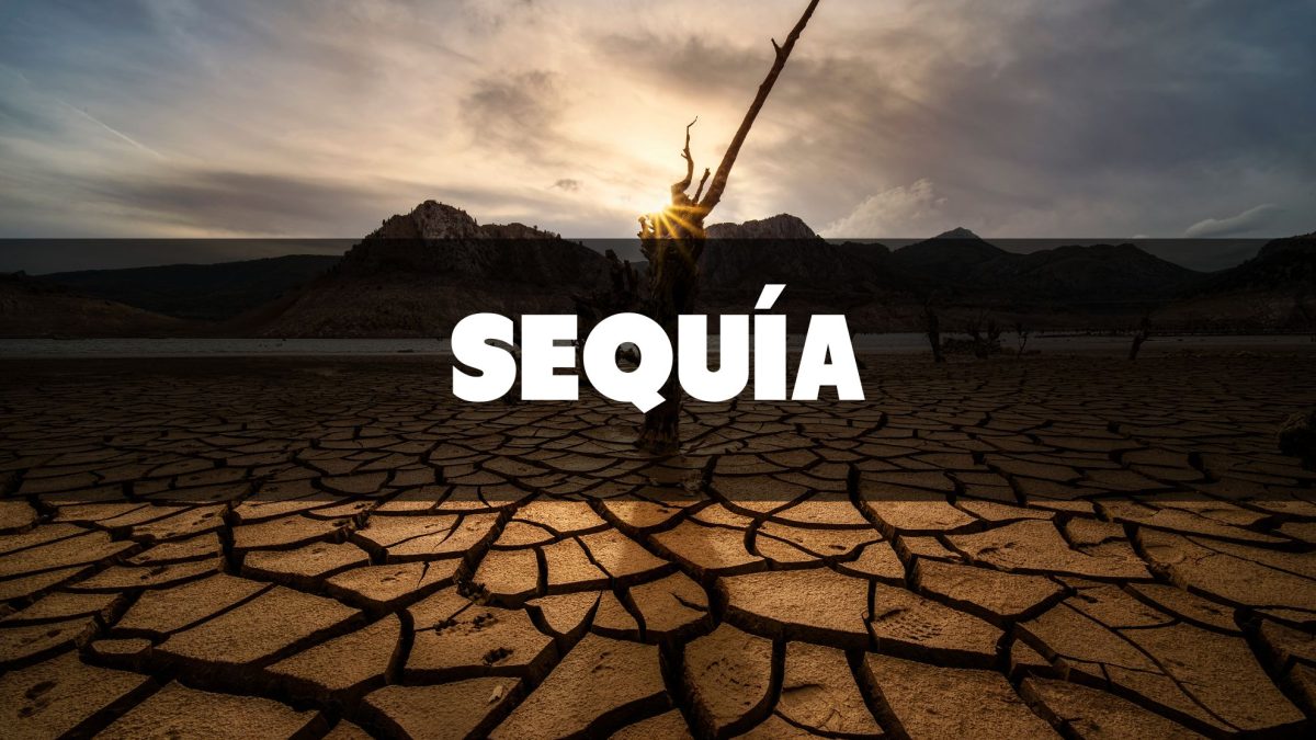 España enfrenta la peor sequía en un siglo: consecuencias y desafíos