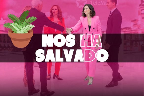Ayuso Planta