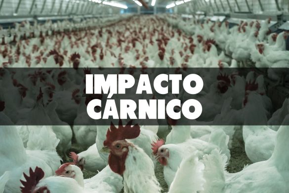Impacto Carnico