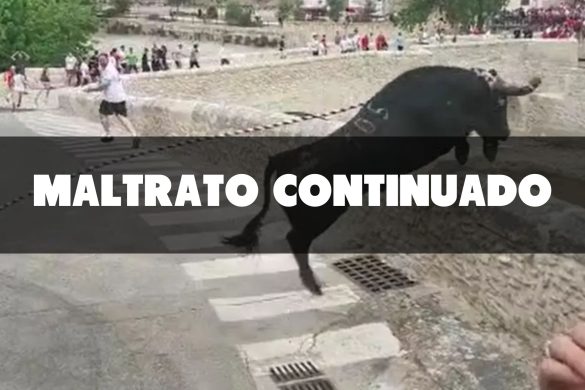 Maltrato