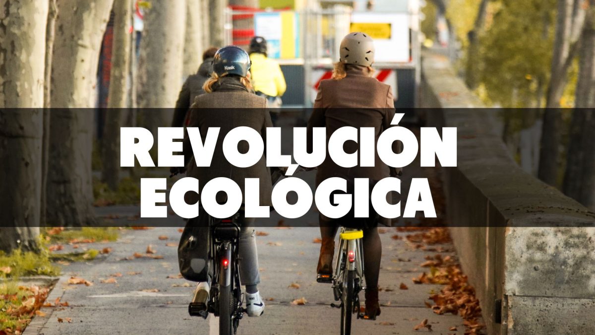 La revolución del transporte en bicicleta: cómo Ámsterdam está cambiando el juego en movilidad urbana