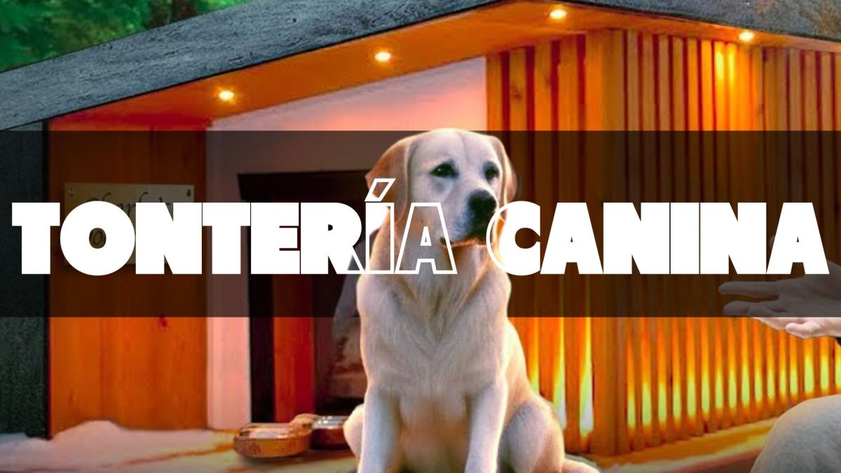 Estamos tontos: un ‘youtuber’ construye a su perro la caseta de 18.000 euros con nevera y televisión