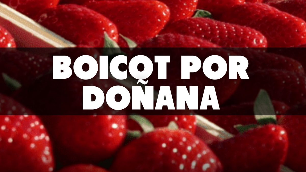 Un llamado a la acción: boicot en Alemania a la fresa de Huelva para presionar al PP para que no acaben con Doñana