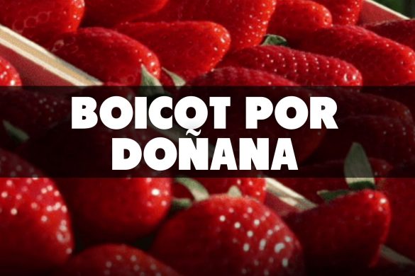 donana 1
