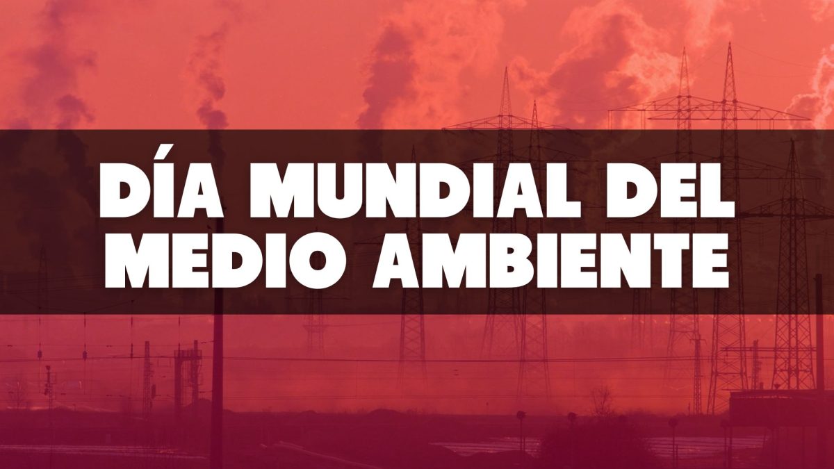 Ante el Día Mundial del Medio Ambiente (5 de junio): la ética y la educación, claves para un futuro ambiental