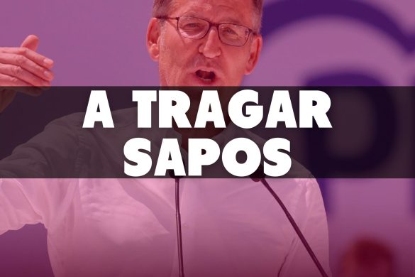 Feijoo 1
