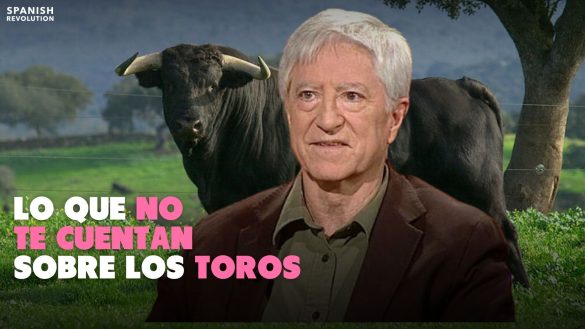 Toros