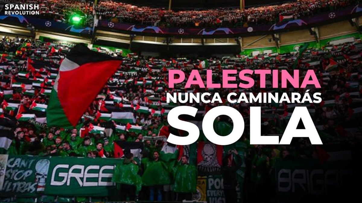 Palestina, nunca caminarás sola: los aficionados del Celtic muestran su apoyo a pesar de sanciones