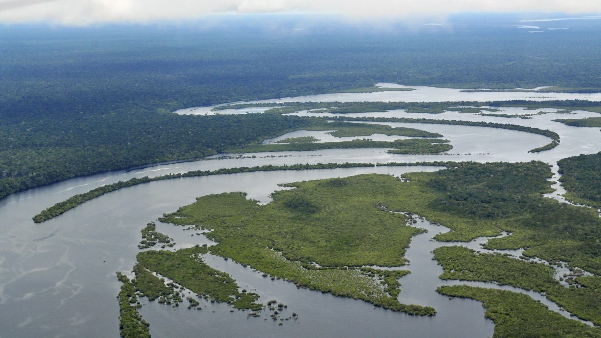 Degradación en la Amazonia: una bomba de relojería para la aparición de enfermedades con potencial pandémico