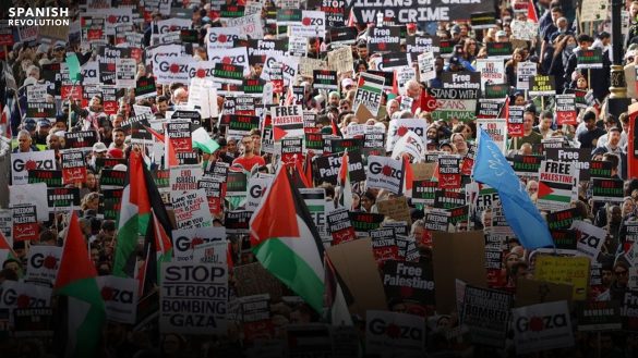 Manis palestina WEB