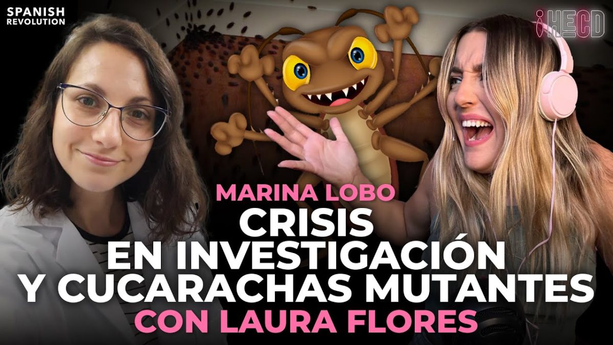 Programa completo | HECD! 408 – Cucarachas mutantes y precariedad en ciencia, con Laura Flores y monumento del 11M en Wallapop