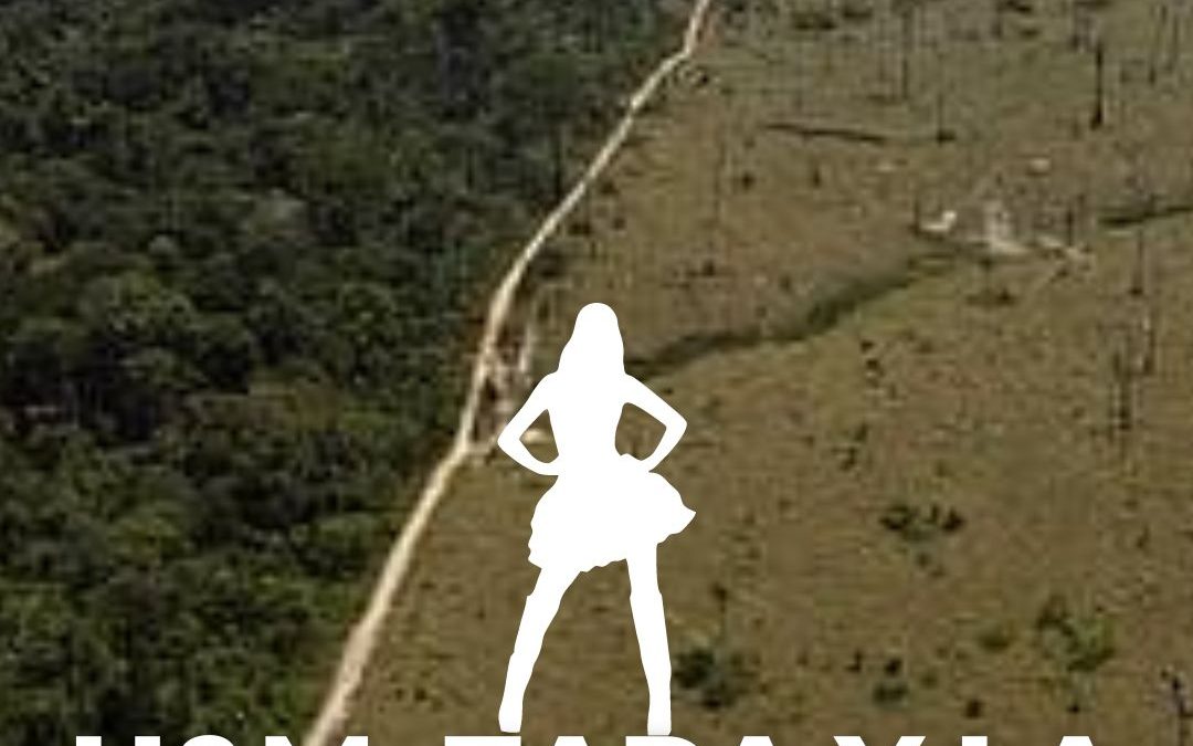 H&M, Zara y la deforestación
