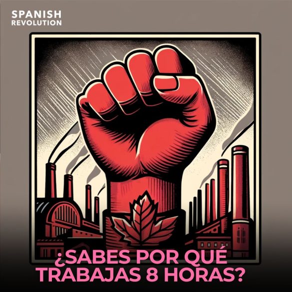Cartela 14