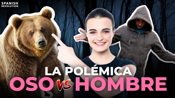 Oso yt